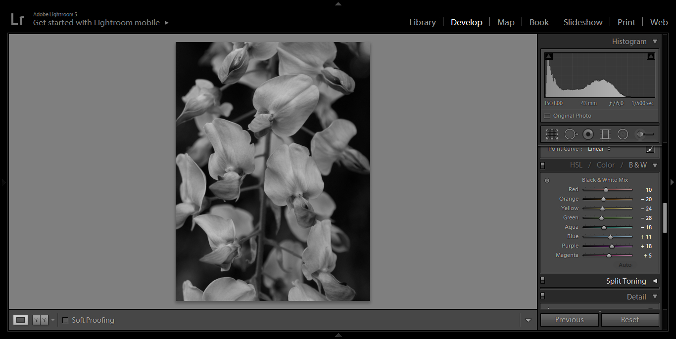 1 b i w mix fotografia czarno biała funkcja