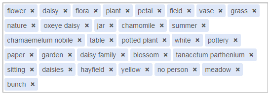 Innym przykładem zastosowanie sztucznej inteligencji jest aplikacja udostępniona przez Photerloo, która umożliwia automatyczne dopasowanie hastagów i słów kluczowych do zdjęcia (możesz ją przetestować tutaj). Wystarczy załadować zdjęcie i dopasować kilka ustawień. Dla powyższego zdjęcia aplikacja dobrała: flower, daisy, flora, plant, petal, field, vase, grass, nature, oxeye daisy, jar, chamomile, summer, chamaemelum nobile, table, potted plant, white, pottery, paper, garden, daisy family, blossom, tanacetum parthenium, sitting, daisies, hayfield, yellow, no person, meadow, bunch