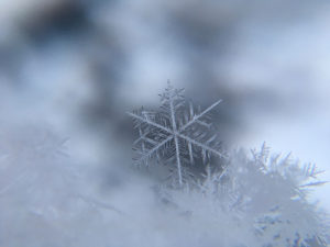 fotografowanie zima platek sniegu