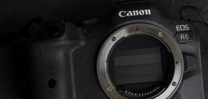 Canon R6 - test aparatu, na który wielu czekało
