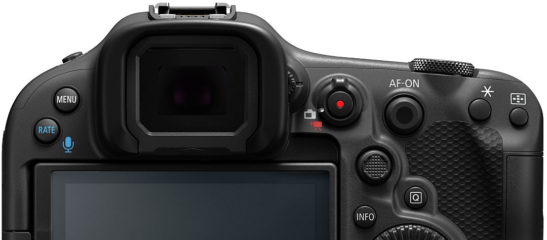 Canon R3 przykładowe zdjęcia