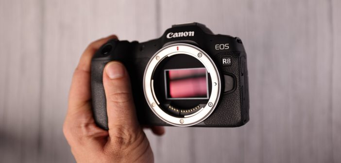 Canon R8 czy Canon R6 – który jest lepszy do filmowania?