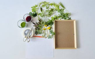 Antotypia czyli jak zrobić zdjęcie za pomocą soku z buraka?