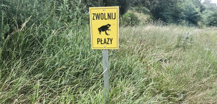 Jakie akcesoria kupić do fotografowania przyrody?