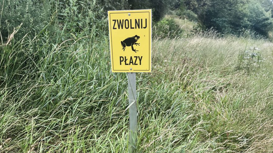 Z bloga
