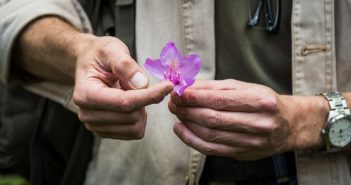 Fotografia reportażowa: jak używać detali, by budować narrację?
